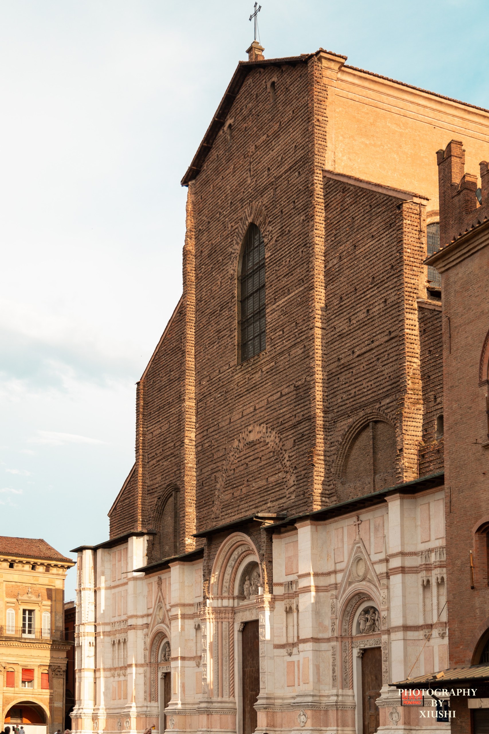 Bologna 7
