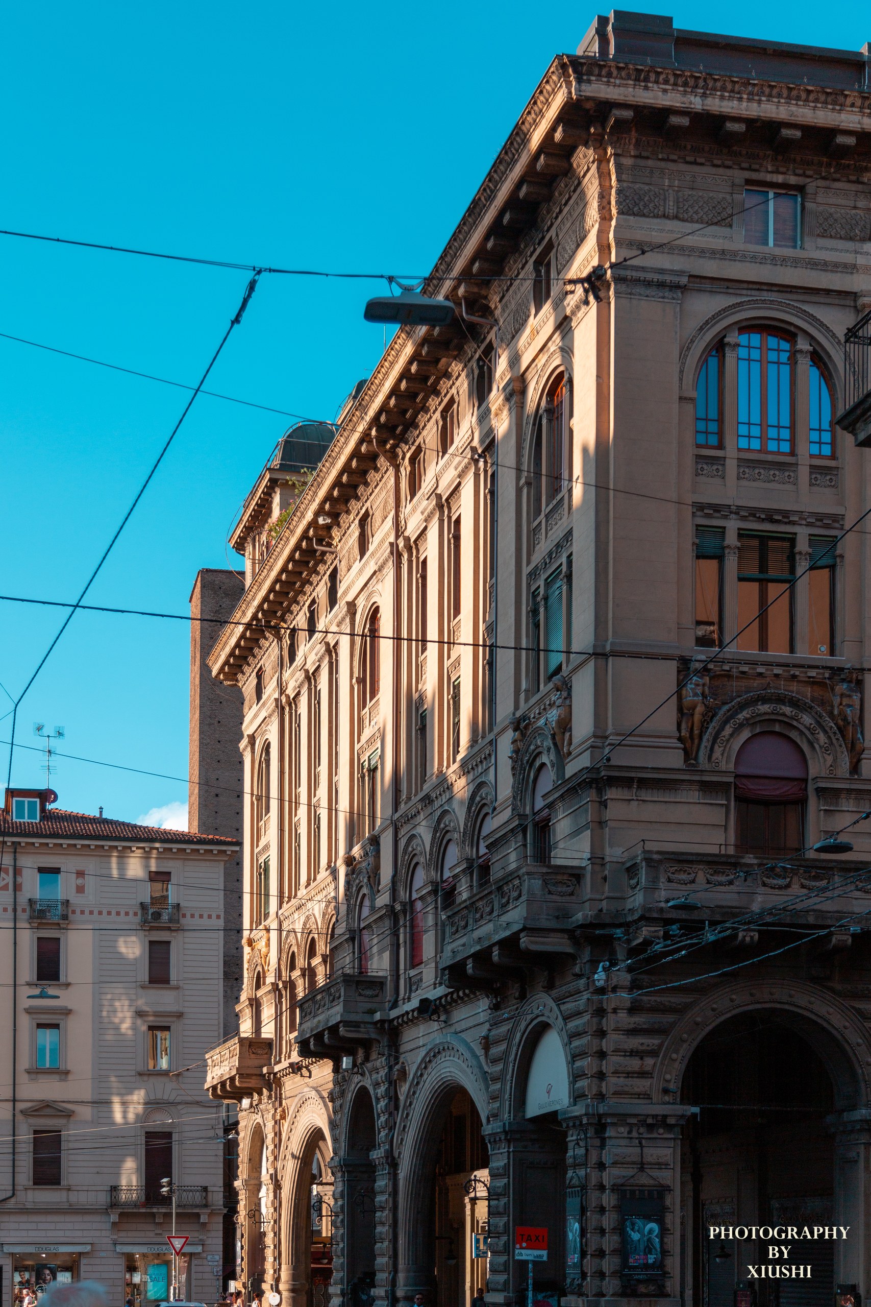 Bologna 14