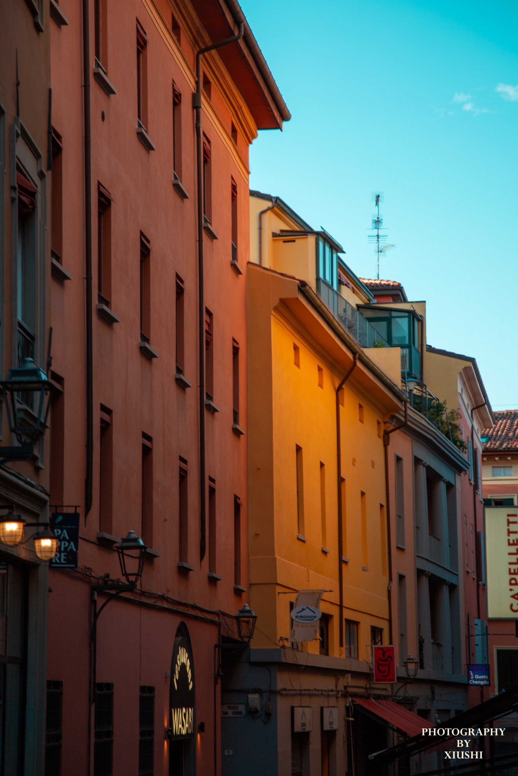 Bologna 16